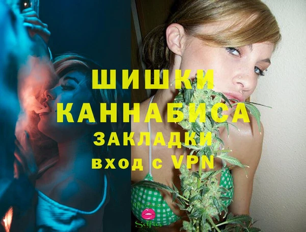 mdpv Болотное
